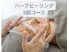 《5回コース》肌質改善ハーブピーリング¥35000