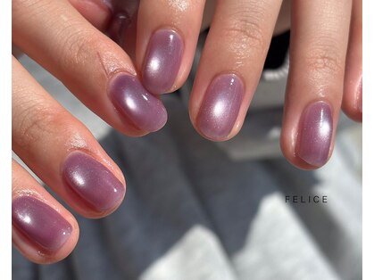 フェリーチェ(felice)の写真