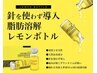 No4【韓国痩身】リバウンドなく脂肪燃焼！お腹、二の腕、お尻、背中、太もも
