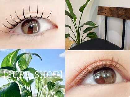 シュアショット(SURE SHOT)の写真
