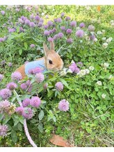 一花&nbsp;海老原 