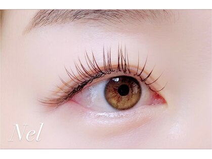 ネル(Nel)の写真