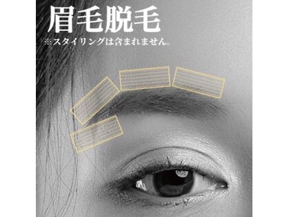 ソラ(SORA)の写真
