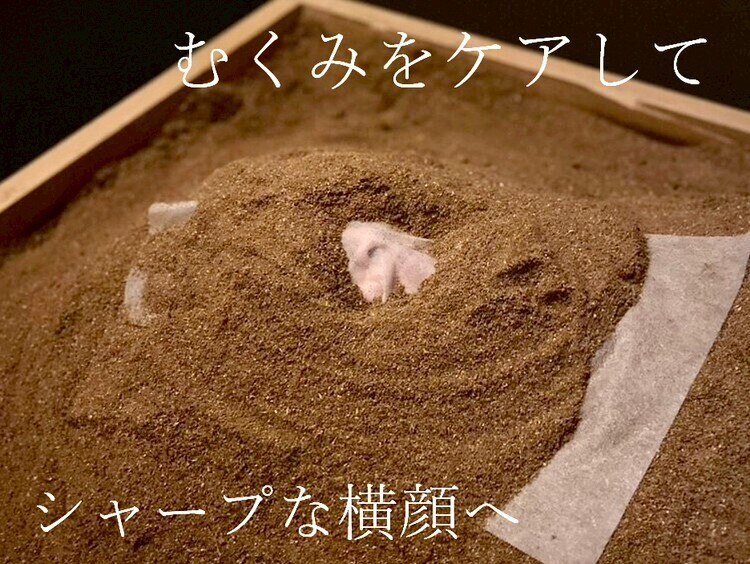 【初回体験】小顔×若見え×フェイスラインの変化 顔のむくみ集中改善\8400→