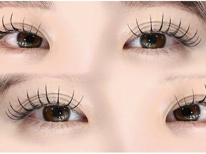 リム(rim)の写真