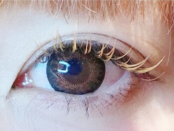 ローラント(LAURENT)/カラーマツエク200本