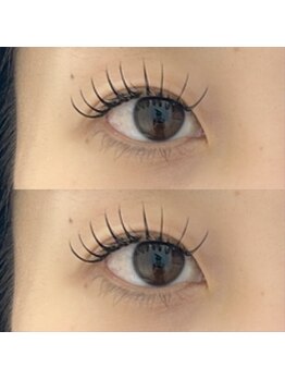 ル リアド(Le Riad)/フラットラッシュ