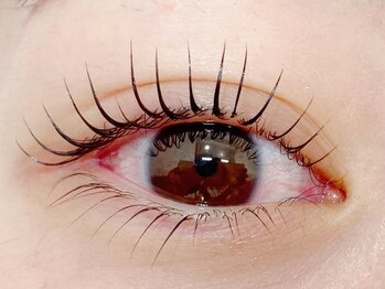 シエル(CIEL)/まつげパーマ上下セット