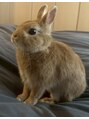 フェリーチェ 瑞江(felice) ネザーランドドワーフのうさぎと暮らしてます