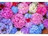 【6/14～6/16 直前割クーポン】税込11,000以上のメニュー対象 ¥500オフ