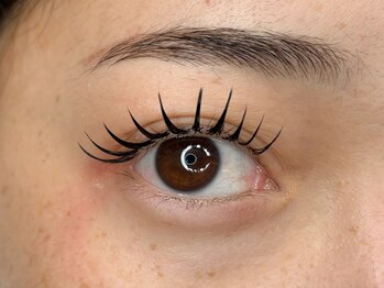 アルバ 谷町9丁目(Arva)/ダブルフラット160束