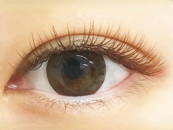 ローラント(LAURENT)/カラーマツエク160本