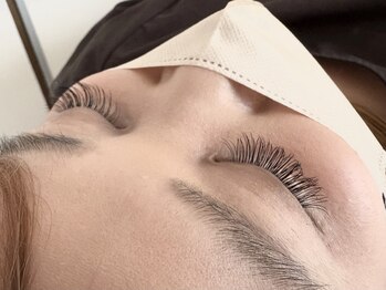 ラフェル(RAFEL)/【フラットラッシュ】140本