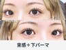 《新規》 韓国風◎ 束感まつげパーマ+下まつげパーマ+美容液仕上げ