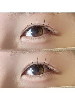 ミイプ(MEPP)/たにわき担当☆フラットラッシュ