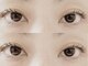 ブリリアントフェニックス(Brilliant Phoenix)の写真