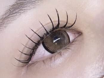アイ ビューティー ルクール 見附店(EYE BEAUTY Le Coeur)の写真/時代はまつ毛パーマからまつ毛エクステへ！どうせやるなら付け放題！