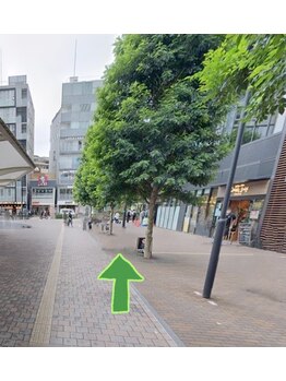 魔女たちの薬箱/道案内1