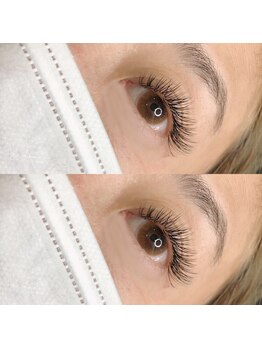 アグライア(Aglaia)/perfectlash160本