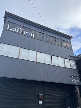 レブロン(LeBron)/外観