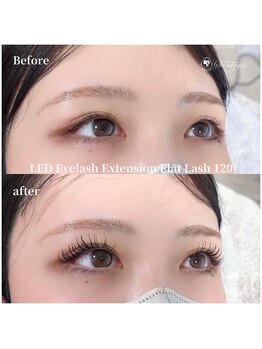 スウィートアイズ(Sweet eyes)/LEDフラットラッシュ120束