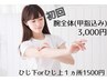 腕全体（甲指込み）¥3,000
