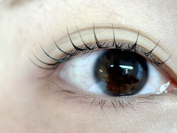 リノ(Lino)/まつげパーマ/マスカラパーマ