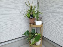 パーソナルサロン レイメリア/玄関前の観葉植物を目印に★