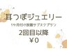 【1ヶ月付け放題サブスクプラン/2回目以降】耳つぼジュエリー¥0