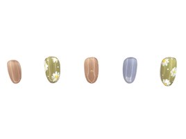 定額ダイヤコース