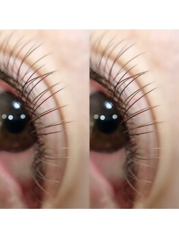 ロイス(ROIS)/◇大人気の組み合わせ120本