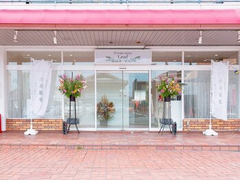 リーフ(Leaf)/外観