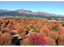 リラクゼーション整体 りめいく