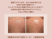 【韓国式3D毛穴洗浄コース】（50分）