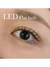 【新規】最新技術★LEDフラットラッシュ120本迄¥7900