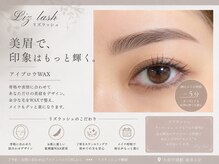 リズ ラッシュ 大泉学園(Liz lash)の雰囲気（貴方に似合うデザインをご提案！[大泉学園/バインドロック]）