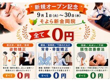 はぴねす鍼灸整骨院 そよら新金岡院