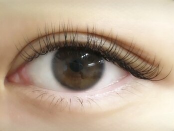 ローラント(LAURENT)/フラットラッシュ180本