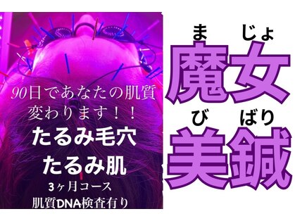 パンダ(Panda)の写真