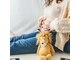 ヒナタボッコ(hinata bocco)の写真