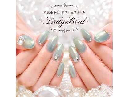 レディーバード (LadyBird)の写真