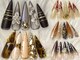 シャシャ(shasha)の写真
