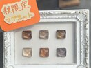 秋限定マグネット！