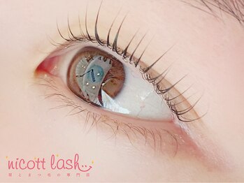 ニコットラッシュ 難波店(nicott lash)/