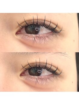 ル リアド(Le Riad)/フラットラッシュ