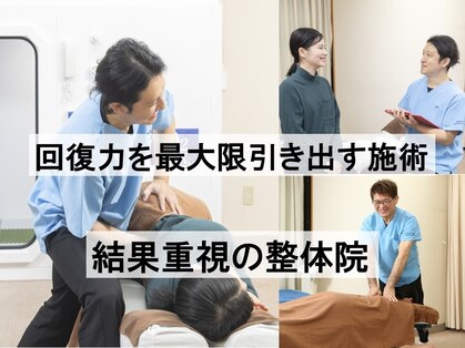 もみの樹の写真