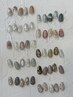 【2回目以降の方】定額デザイン(トレンドコース)¥9900