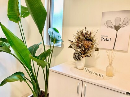 ペタル(Petal)の写真