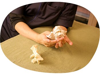 ヒーリングドラゴン(Healing Dragon)/筋骨格、神経へのアプローチ