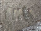 トレンドシンプルデザインネイル